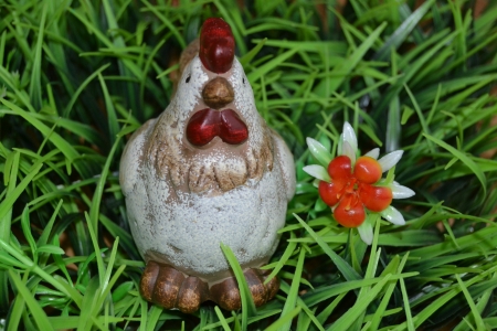Hen sitting in the grass near a floweの写真素材