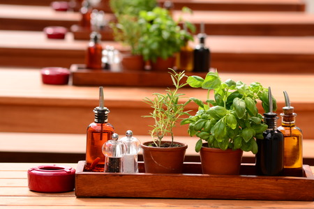  Basil, oil and sauces are on the tableの写真素材