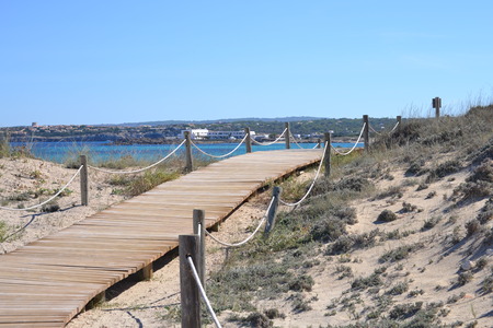 wooden bridge over the dunesの写真素材