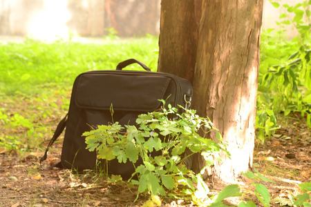 computer bag standing near treeの写真素材