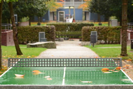 leaves lie on the tennis table