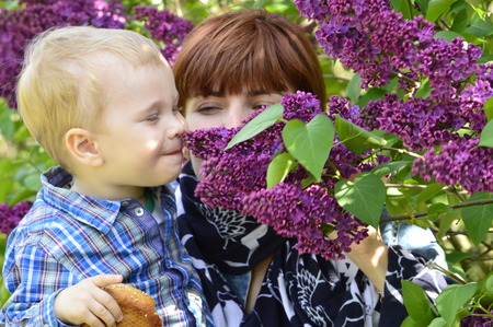 boy in the arms of my mother sniffing lilacsの写真素材