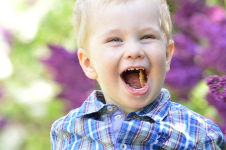 boy laughing and biscuits in the mouthの写真素材