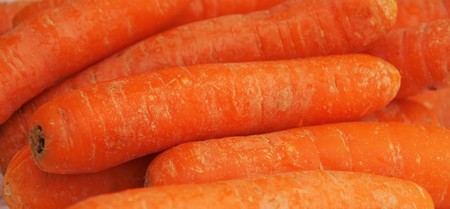 Fresh carrots closeupの写真素材