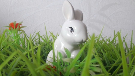 white easter bunny in the grass