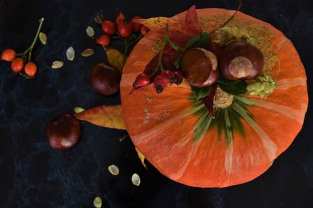 Autumn still life with pumpkin, rose hips, chestnuts and hopsの写真素材