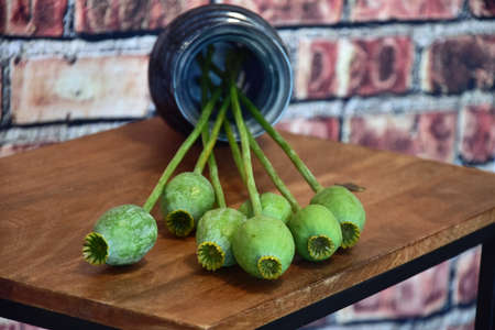 boxes on poppy seeds stems lie in a vase on a wooden tableの写真素材