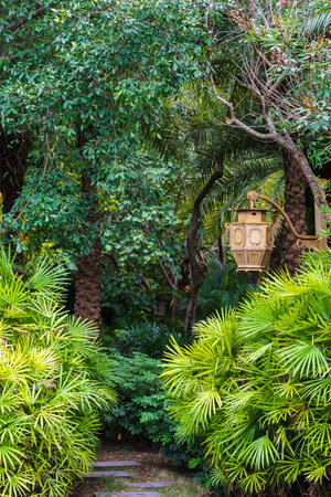 Lantern in the garden with green plants and palm trees.の写真素材