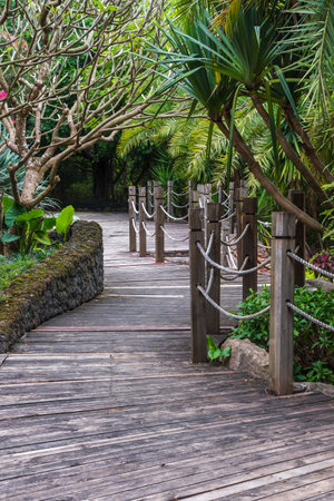 Wooden walkway in the garden with nature background.の写真素材