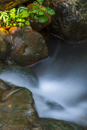Water flowing over rocks in a stream in the forest, Thailand.の写真素材