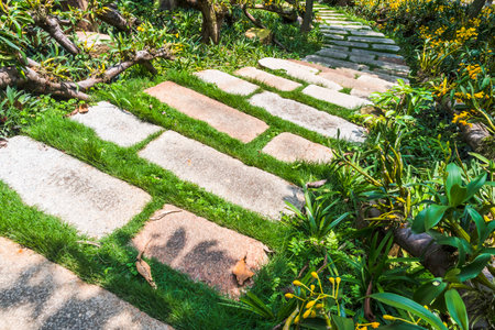 Stone walkway in the garden, Thailand. (Selective focus)の写真素材