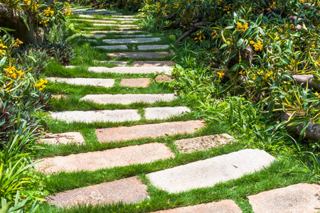 Stone walkway in the garden, Thailand. (Selective focus)の写真素材