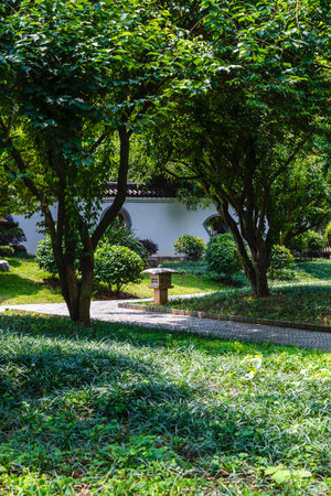 Garden view of Mae Fah Luang Garden, Thailand..の写真素材