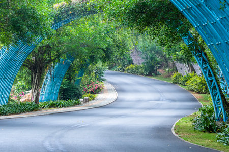 Curve road in the park with green tree and blue sky background