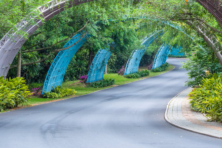 Blue Bridge in the park.の写真素材