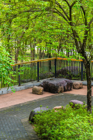 Wooden walkway in the park with green trees and grass.の写真素材