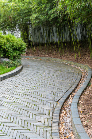 Paved walkway in the garden with green trees and grass.の写真素材