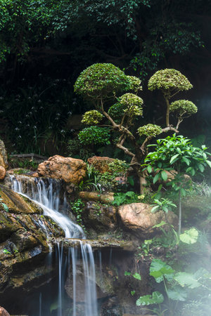 Waterfall in the garden at Doi Inthanon National Park, Chiang Mai, Thailandの写真素材
