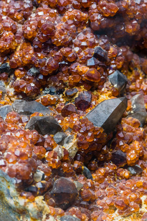 Red caviar on a stone, close-up, selective focusの写真素材
