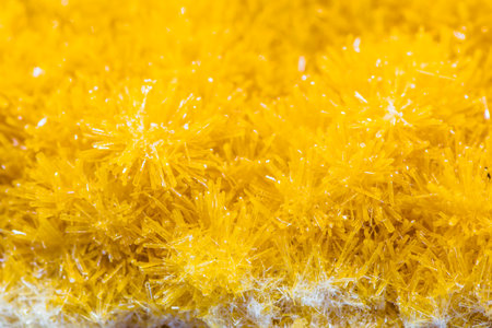 Yellow sponge close-up. Abstract background and texture for design.の写真素材