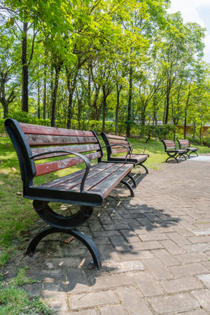 Wooden bench in the park with green grass and tree background.の写真素材