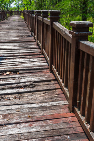 Wooden bridge in the mangrove forest at Rayong Thailandの写真素材