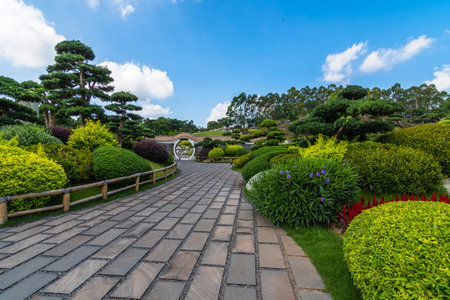 Walkway in the garden at Chiang Rai Province, Thailand.の写真素材