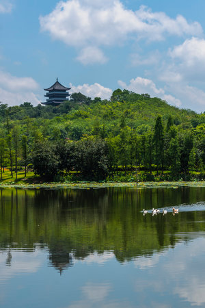 Landscape view of Hangzhou West Lake in Hangzhou, Chinaの写真素材