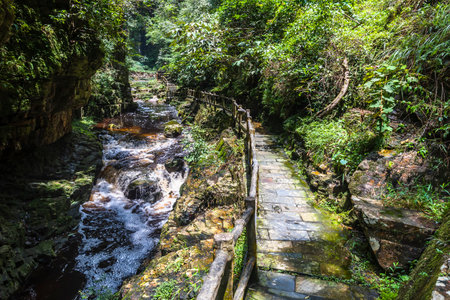Tad Mok waterfall in Doi Inthanon National Park, Thailandの写真素材