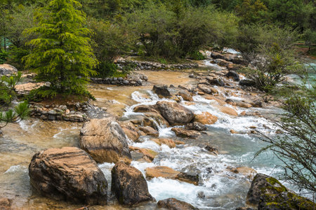 Mountain river flowing through the forest. Beautiful natural landscape in the mountains.の写真素材
