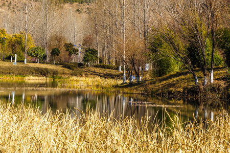 Autumn Landscape. Park in Autumn. The trees are reflected in the lake.の写真素材