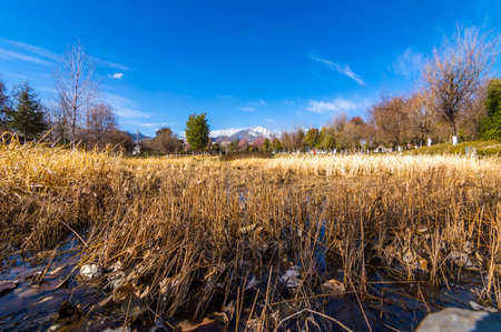 Landscape view of snow capped Alps mountain range with frozen lake and dry grass.の写真素材