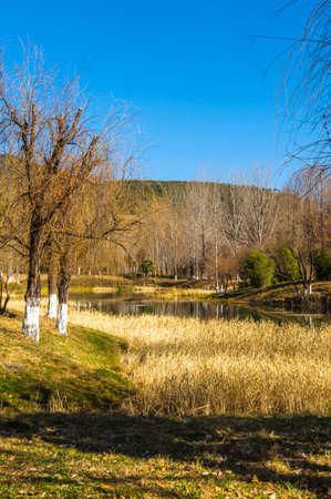 Beautiful landscape with lake, trees and blue sky in springtimeの写真素材