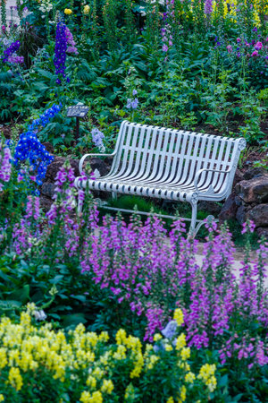 White bench in the garden with purple and yellow flowers in the backgroundの写真素材