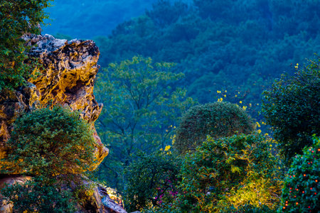 Mountain view of Doi Pha Tang at Chiangrai province, Thailand.の写真素材