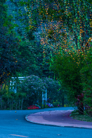 Light decoration on the road in the park at night with bokeh.の写真素材