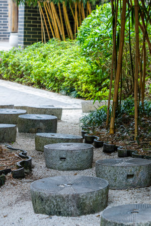 Concrete block walkway in the garden with green plant background.