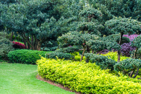 Beautiful park in the city of Bangkok, Thailand. Beautiful landscaping.の写真素材