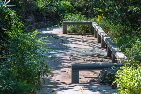 Stone walkway in the park, Thailand. The walkway in the park.の写真素材