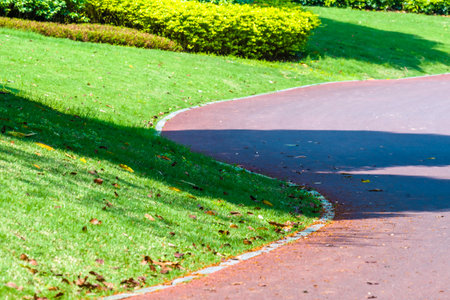 Landscape of green grass and road in public park, Thailand.の写真素材