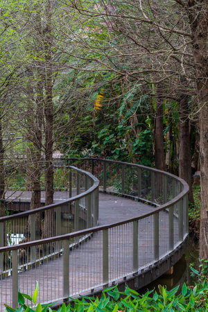 Wooden walkway in the park with green trees and grass.の写真素材