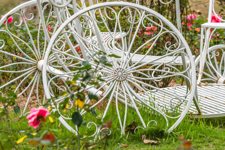 White chair in the garden with rose flower background, stock image.の写真素材