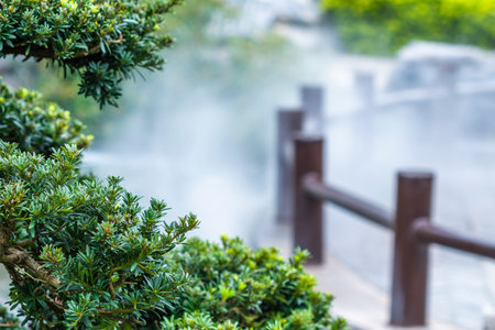 Bonsai tree with hot spring in the park, Thailand.の写真素材