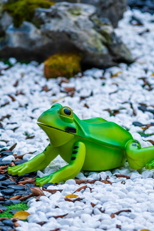 Green frog on white pebble background in garden, Thailand.の写真素材