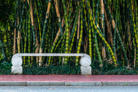 Stone bench in the park with bamboo background, Bangkok, Thailand.の写真素材