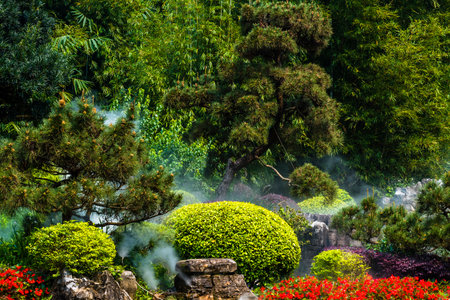Beautiful green garden in the morning with fog and sun light.の写真素材