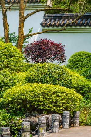 Beautiful garden in japanese style, Bangkok, Thailand.の写真素材