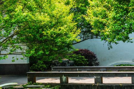 Bench with green tree in the park, Thailand. Natural background.の写真素材