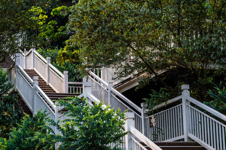 White wooden stairs in the garden, Thailand. Selective focus.の写真素材