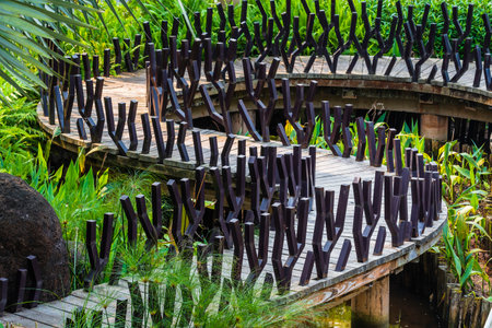 Wooden bridge in the garden, Thailand. (Soft focus)の写真素材